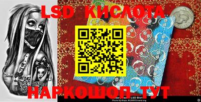 шишки Боровичи