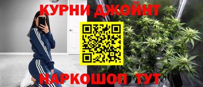 шишки Боровичи