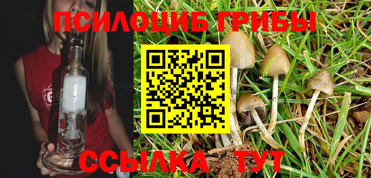Псилоцибиновые грибы Magic Shrooms Великие Луки