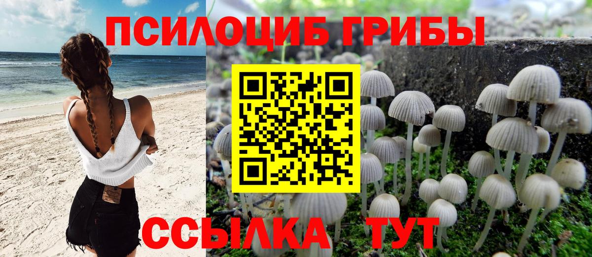 Галлюциногенные грибы прущие грибы  Псилоцибиновые грибы мицелий  Великие Луки 