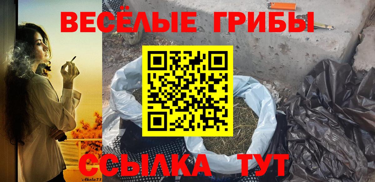 Великие Луки  хочу   Вход с VPN  Галлюциногенные грибы мицелий 