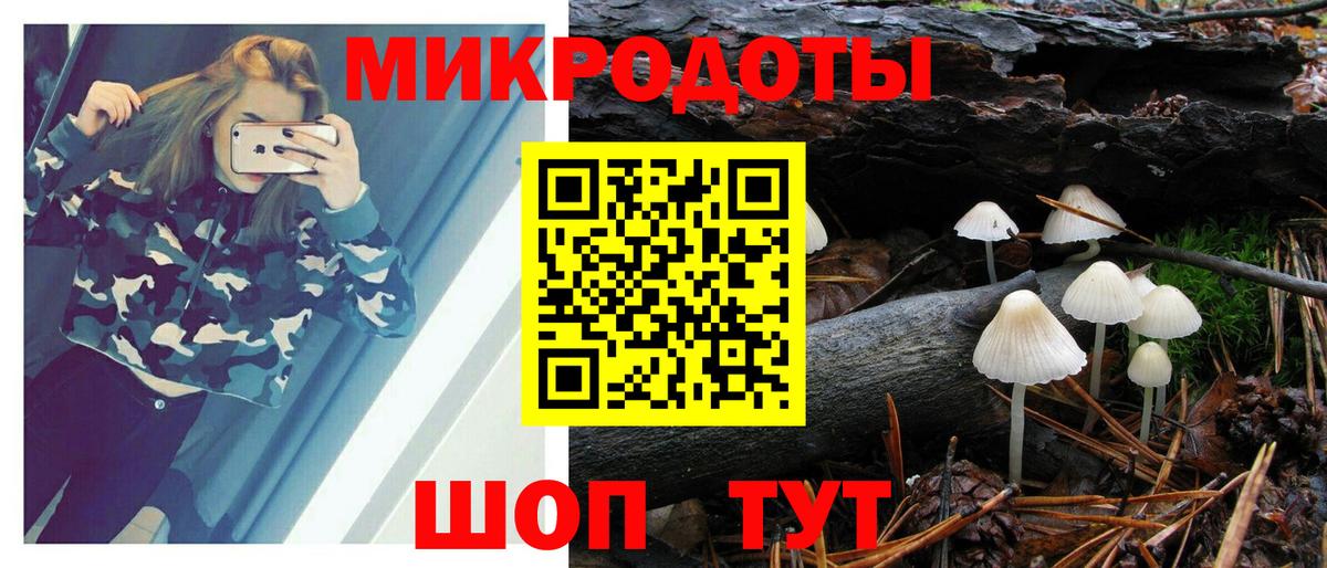 Псилоцибиновые грибы мухоморы Великие Луки