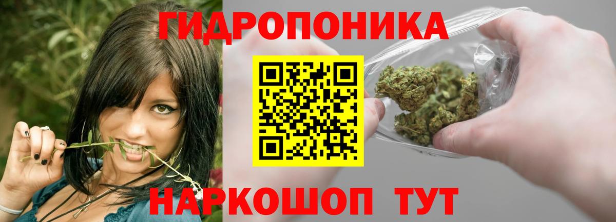 Конопля VHQ  Вход с VPN  Великие Луки  Конопля конопля  Каннабис сатива 